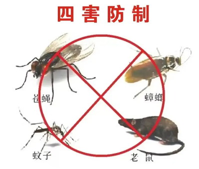 床墊易滋生吸血臭蟲，怎樣預防呢？